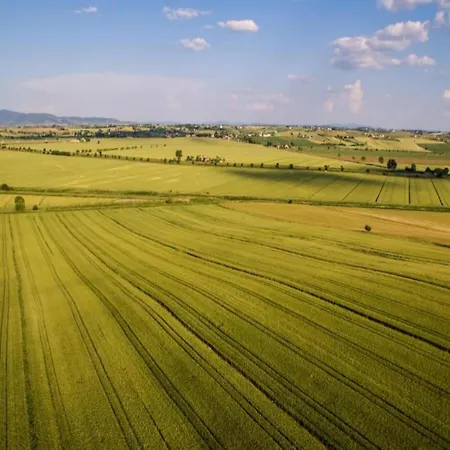 Spacious Villa Cortona