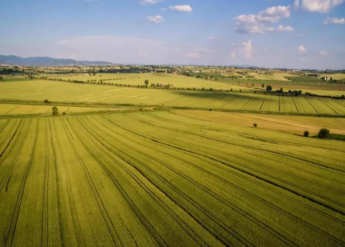 Spacious Villa Cortona