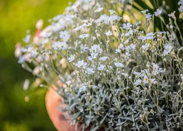 Spacious Βίλα Κορτόνα